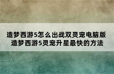 造梦西游5怎么出战双灵宠电脑版 造梦西游5灵宠升星最快的方法